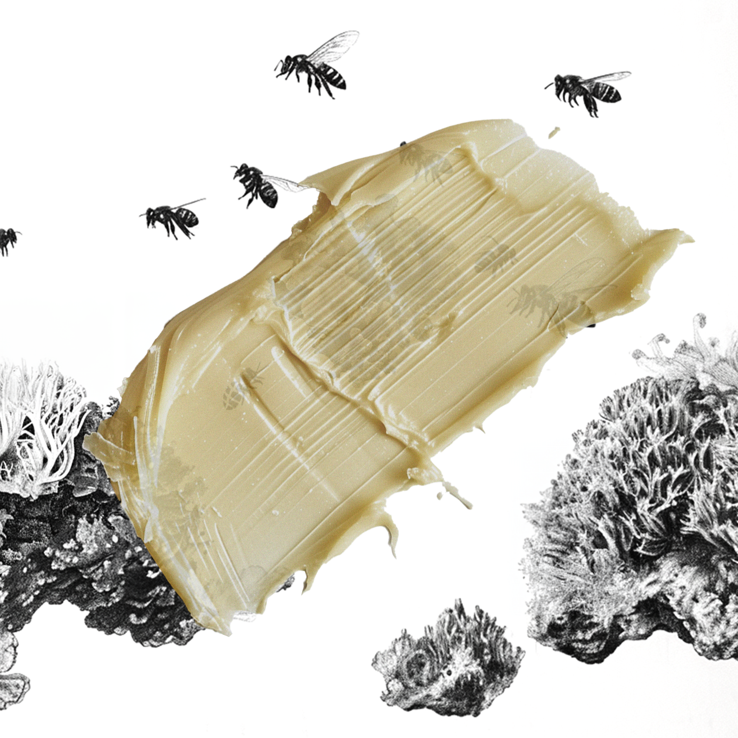 dr.b®: Texture & feel Banner