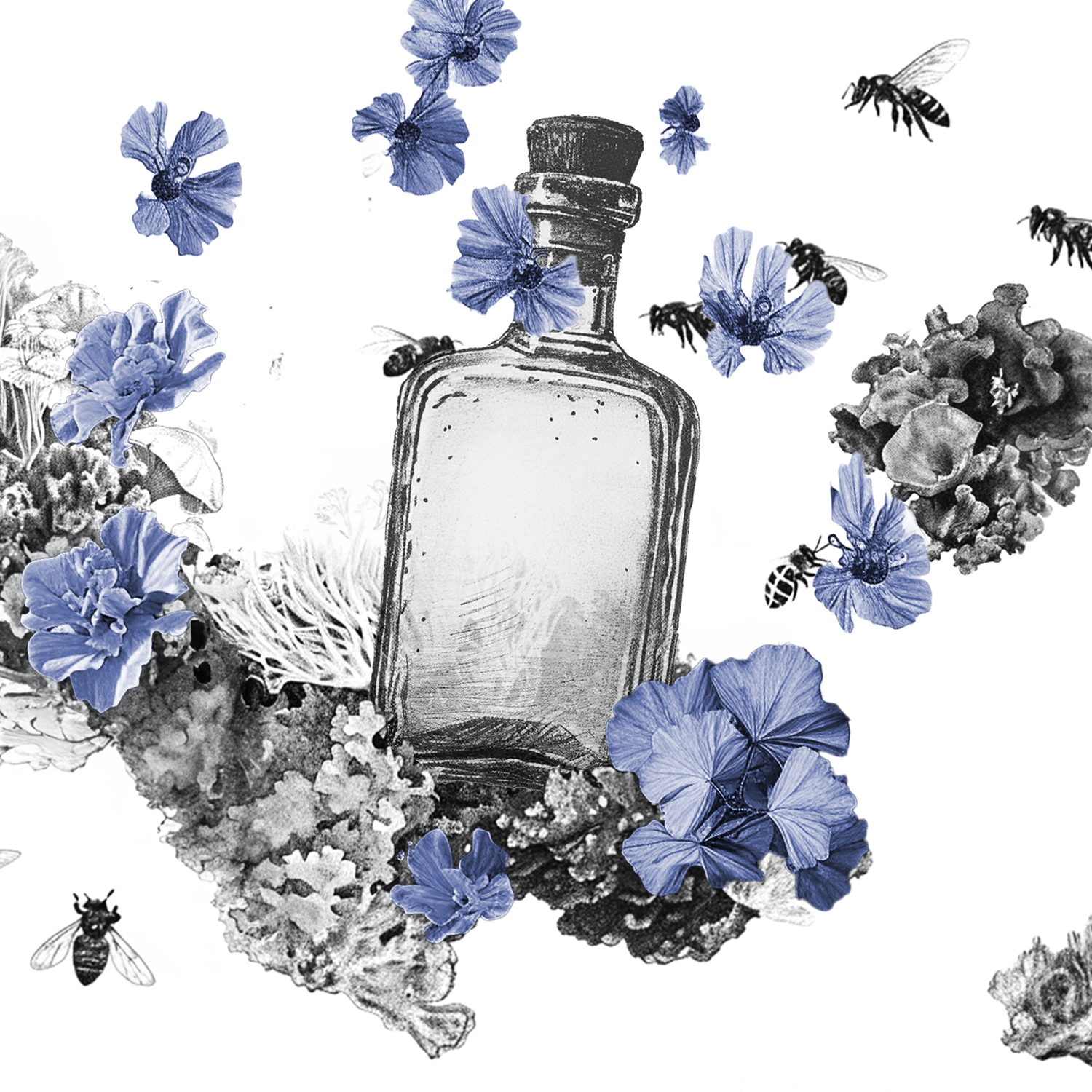 dr.b®: Scent design Banner