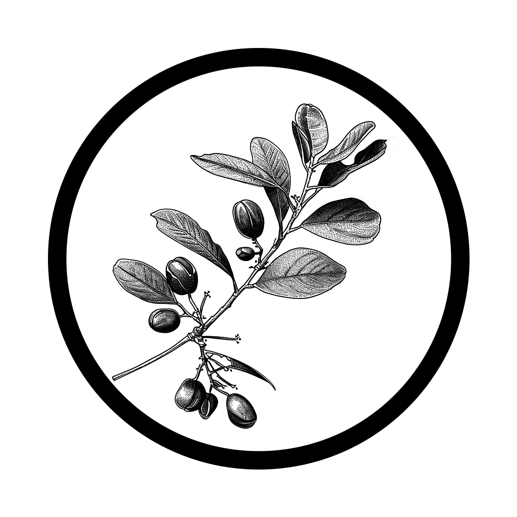 dr.b®: Natural Icon